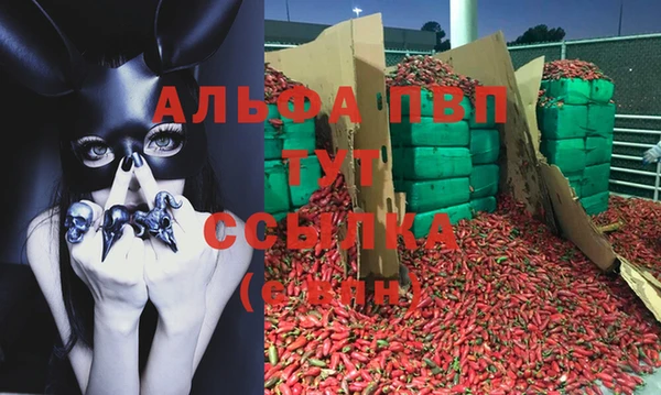 метадон Беломорск
